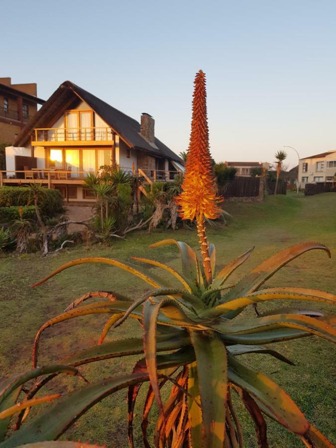 Dreamland Beach House & Studios At Supertubes Jeffreys Bay Exterior foto